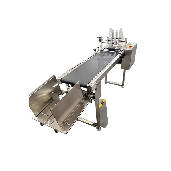 automatic paging equipment for packaging